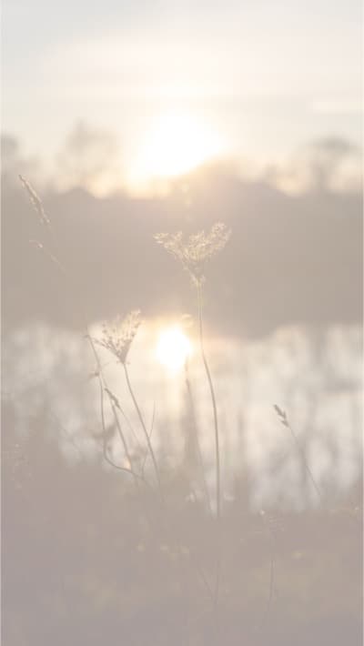 قالب Design of a Natural Snapshot, download and edit for free من أندلسي