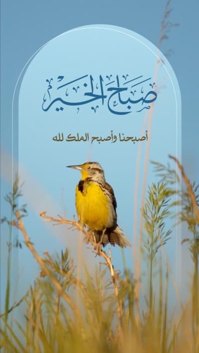قالب تصميم صباح الخير, للتحميل والتعديل مجاناً من أندلسي