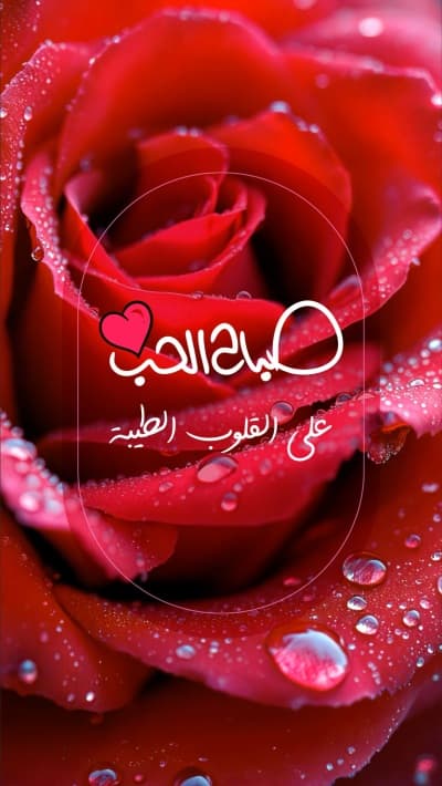 قالب Design Good Morning Love, download and edit for free من أندلسي