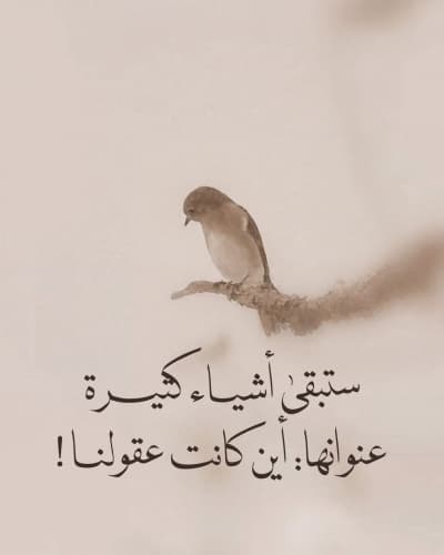 قالب تصميم اقتباس، للتحميل والتعديل مجاناً من أندلسي