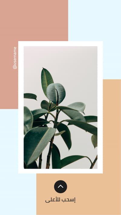 قالب Design Story, download and edit for free من أندلسي