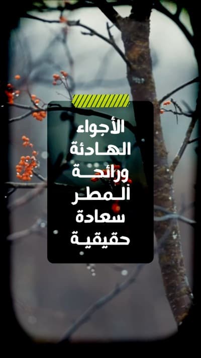قالب Winter Design for Calm Atmosphere, download and edit for free من أندلسي