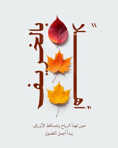 قالب تصميم احترافي من أندلسي