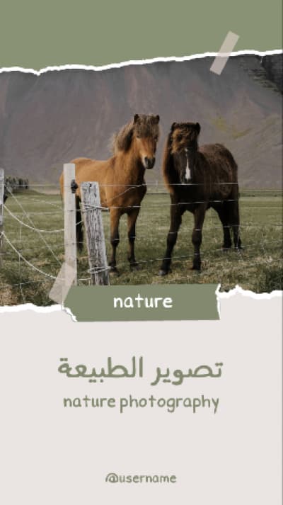 قالب Design Nature Photography, download and edit for free من أندلسي