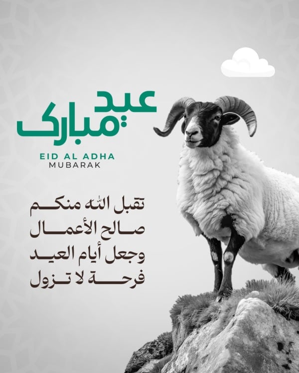 Design Eid al-Adha, Greeting, download and edit for free design template - Eid al-Adha, Greeting from the Andalusi design app