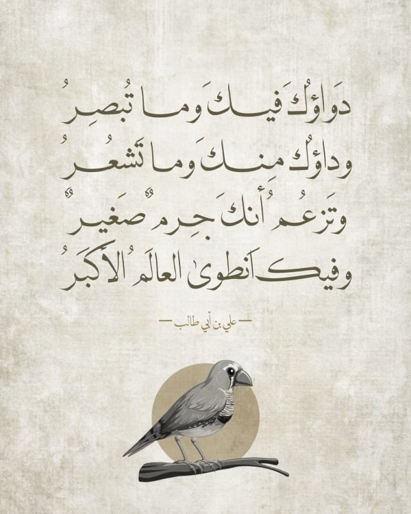 Design Poetry, download and edit for free design template - Poetry from the Andalusi design app