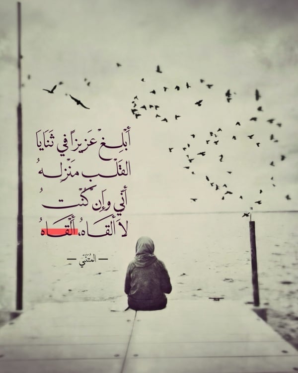 Design Poetry, download and edit for free design template - Poetry from the Andalusi design app