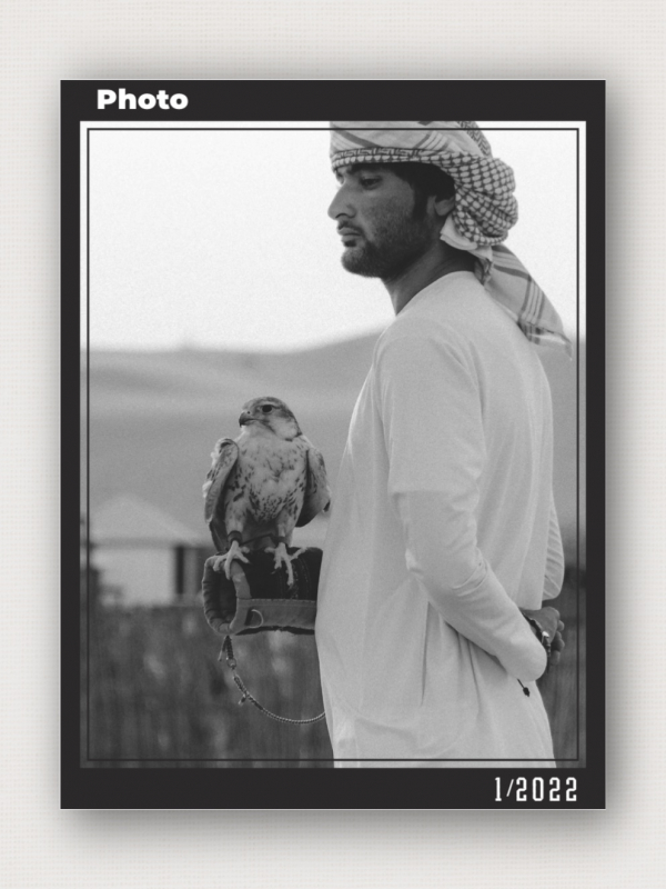 Design Photography of a Person with a Falcon, download and edit for free design template - Photography from the Andalusi design app
