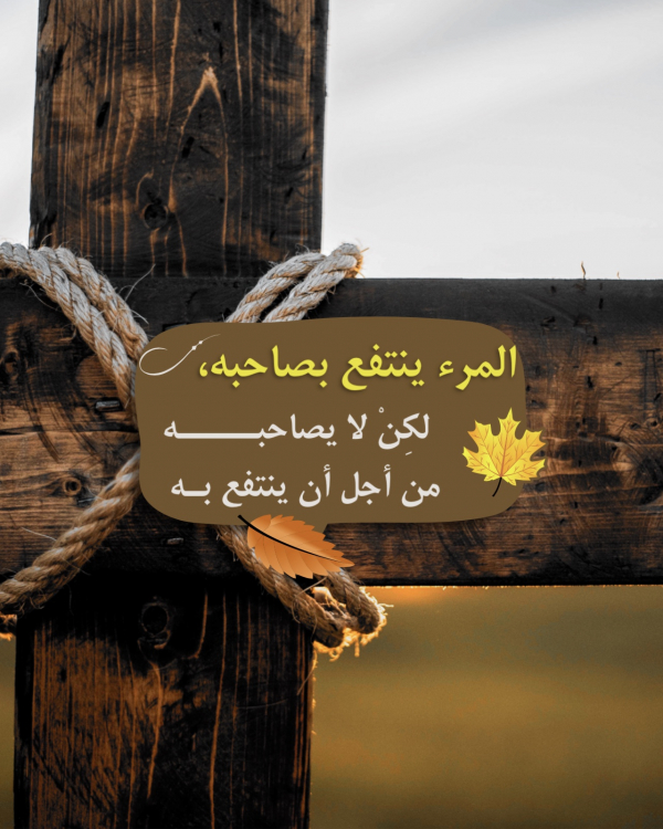 Design "A person benefits from their companion", download and edit for free design template - Quotes from the Andalusi design app