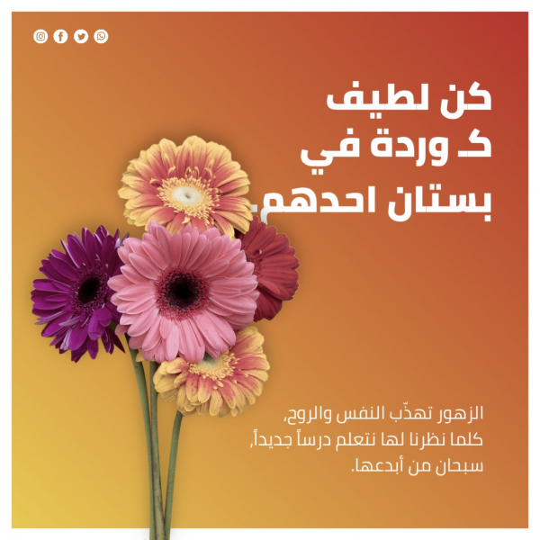 Beautiful Flower Design in Garden, download and edit for free design template - Quotes, Post from the Andalusi design app