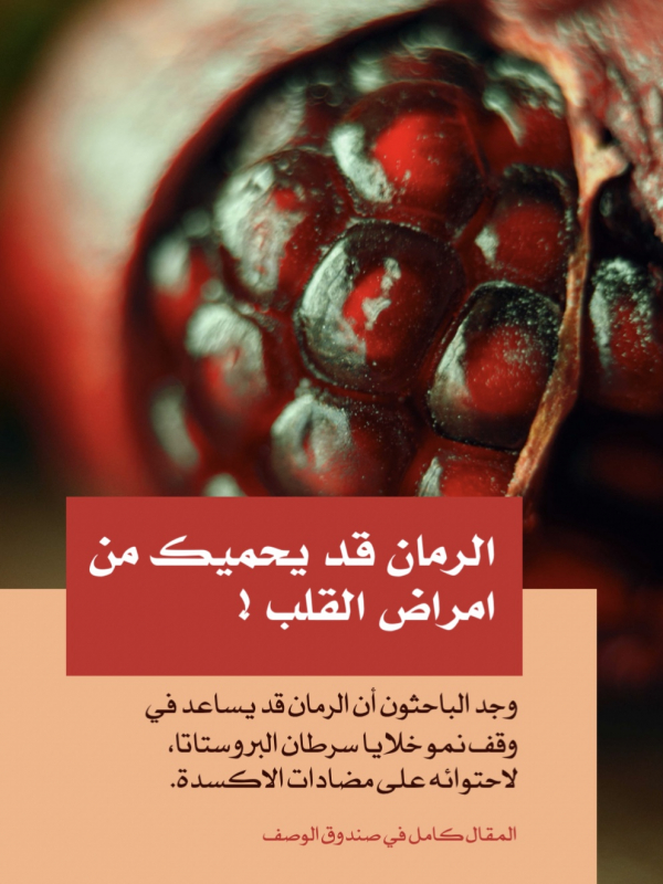 Design Food Pomegranate May Protect You from Heart Diseases, download and edit for free design template - Food from the Andalusi design app