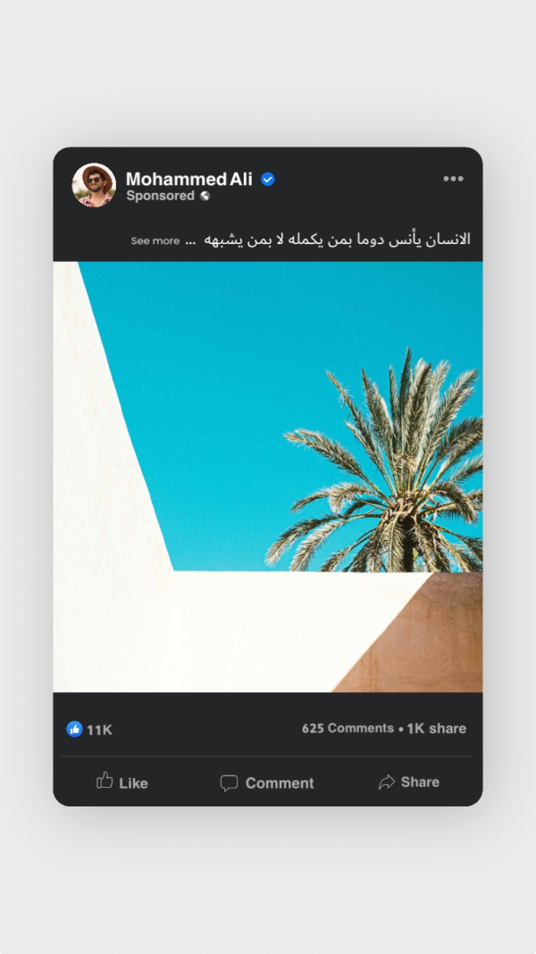 Design Story with Palm Trees, download and edit for free design template - Tweets, Story from the Andalusi design app