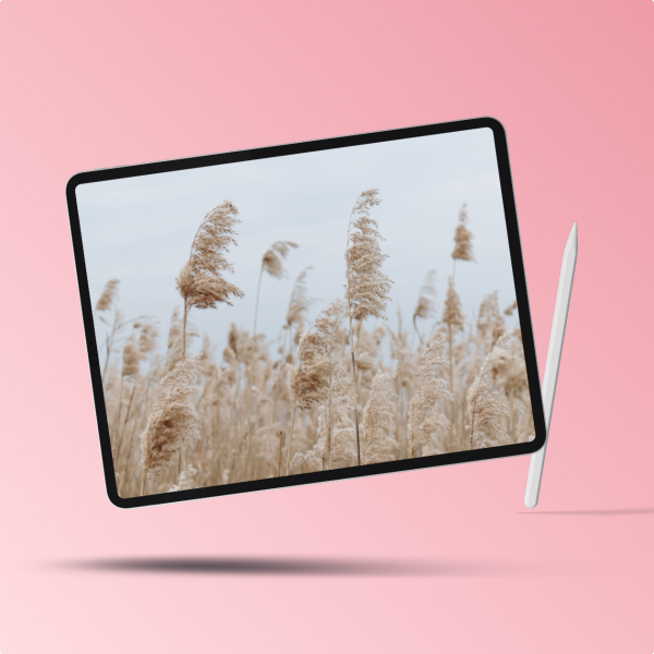 Design Mockup of a Tablet with Natural Background, download and edit for free design template - Mockups from the Andalusi design app