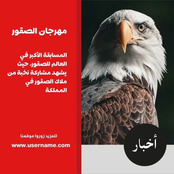 Design of Falcon Festival, download and edit for free design template - News, Post from the Andalusi design app