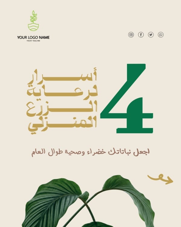 قالب تصميم احترافي - منشور متعدد الشرائح, اقتباسات من تطبيق أندلسي للتصميم