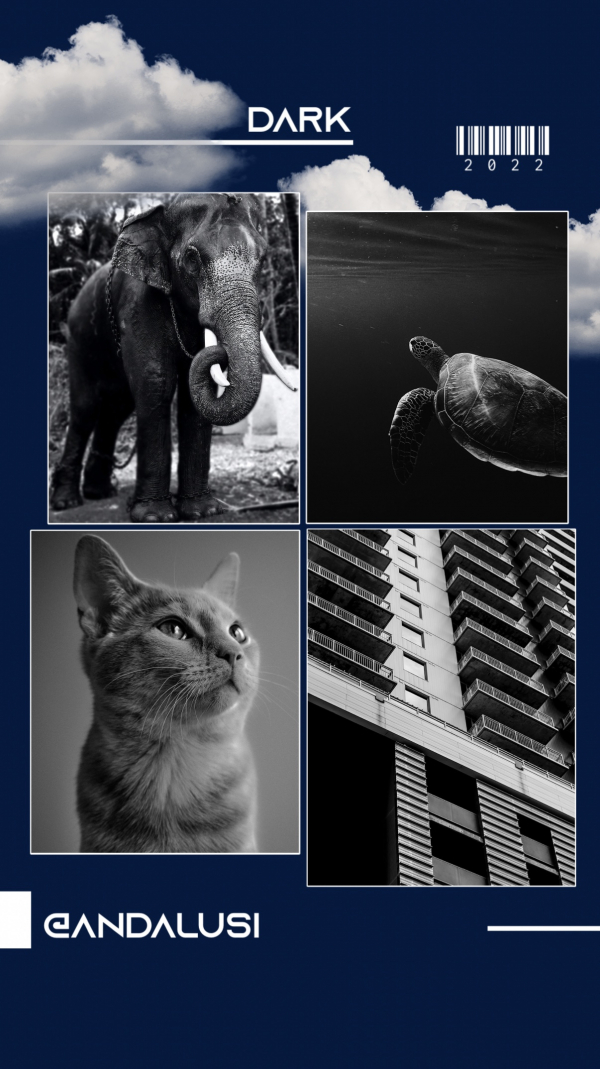 Design Story, download and edit for free design template - Story, Photography from the Andalusi design app
