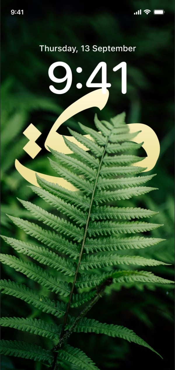 Design Wallpaper of a Fern, download and edit for free design template - Wallpapers from the Andalusi design app