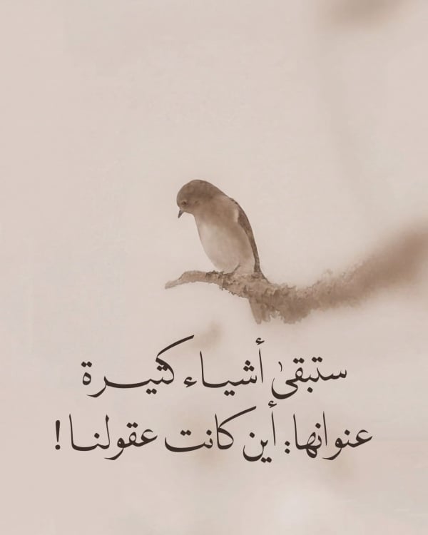 Design Quote, download and edit for free design template - Quotes, Post from the Andalusi design app