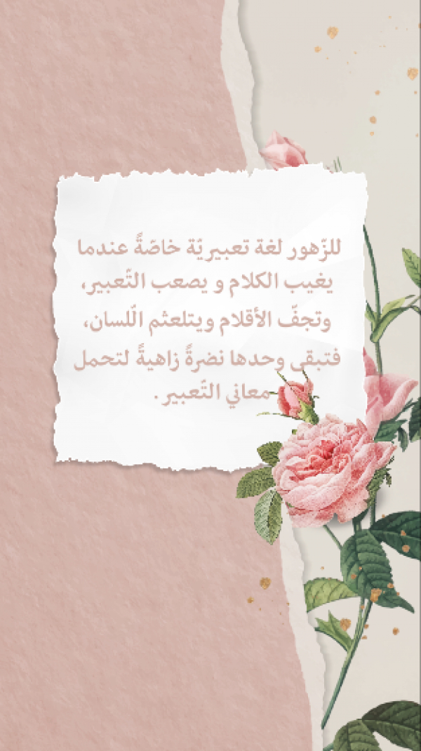 Design Story, download and edit for free design template - Quotes, Story from the Andalusi design app