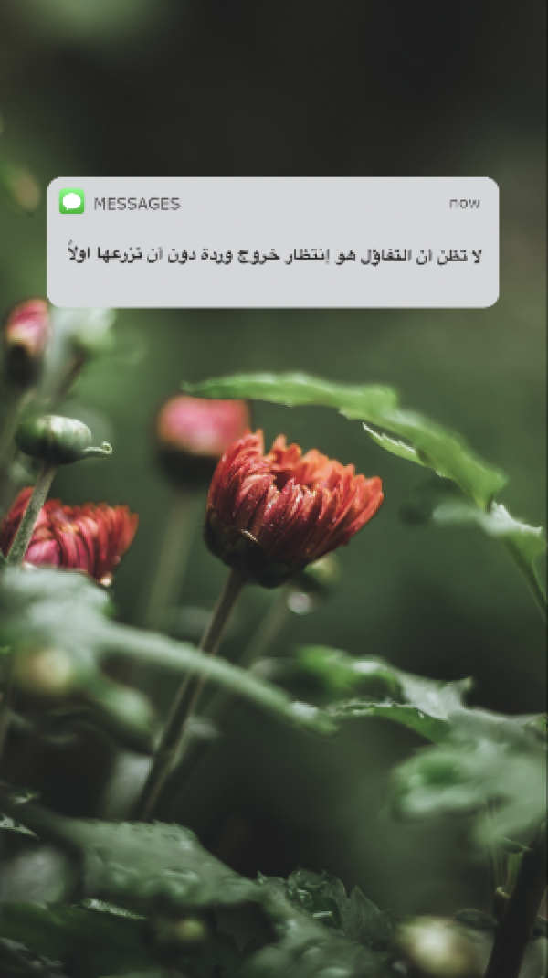 Beautiful Text Message Design, download and edit for free design template - Quotes, Story, Video Appstore from the Andalusi design app