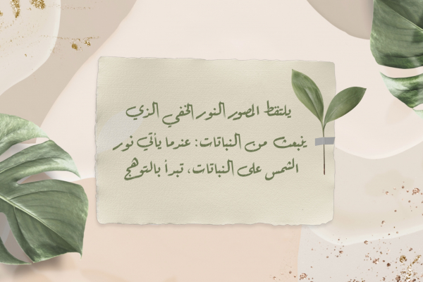 Design Note Paper with Natural Elements, download and edit for free design template - Quotes from the Andalusi design app
