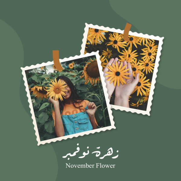 Design Post, November Flower, download and edit for free design template - Post, Photography from the Andalusi design app