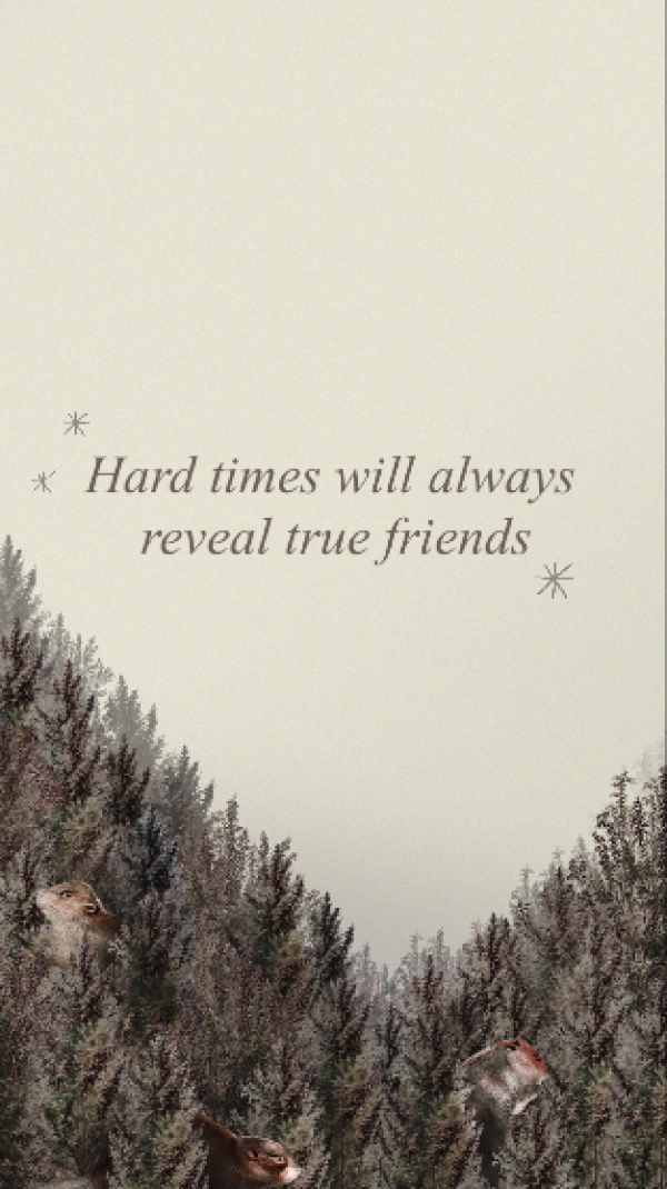 Design Quote: Hard times reveal true friends, download and edit for free design template - Quotes, Story from the Andalusi design app
