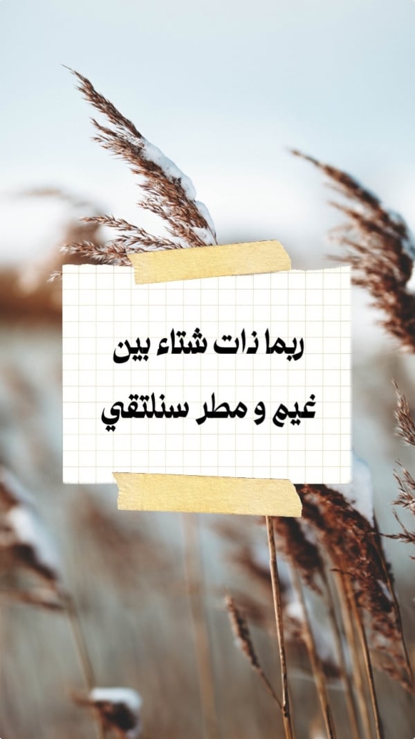Winter Design, download and edit for free design template - Winter from the Andalusi design app