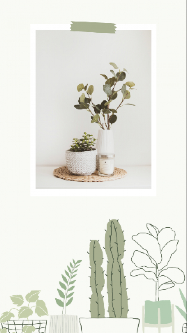 Design Story, download and edit for free design template - Story, Photography from the Andalusi design app