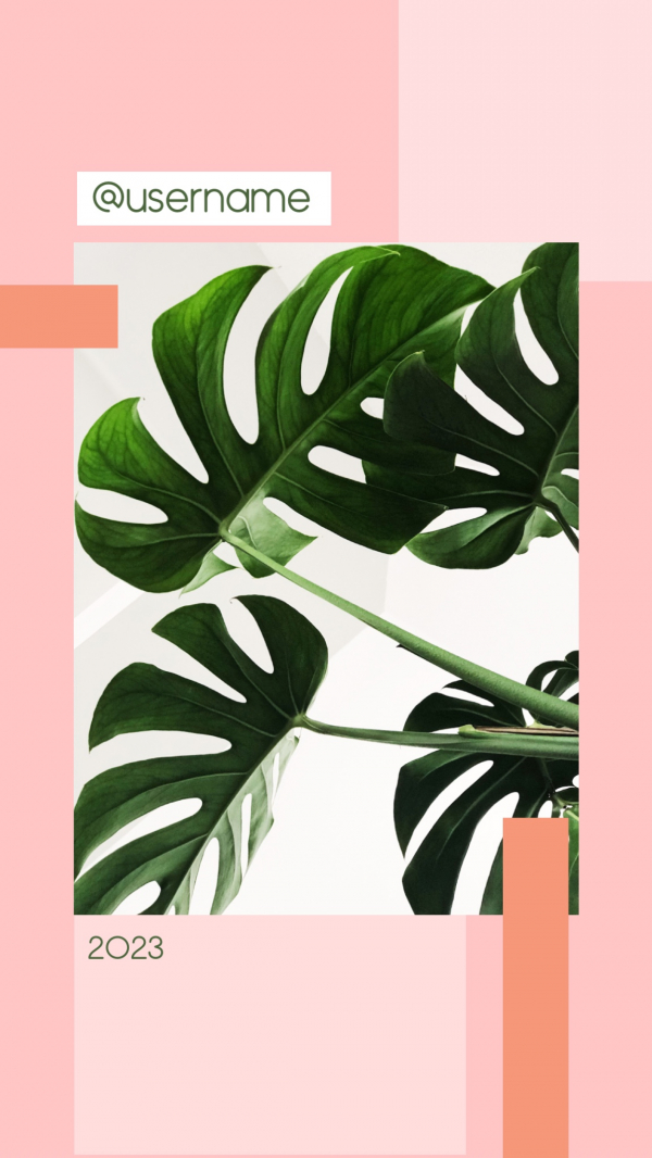 Design Story with Green Plants, download and edit for free design template - Story, Photography from the Andalusi design app