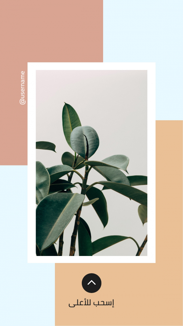 Design Story, download and edit for free design template - Story, Photography from the Andalusi design app