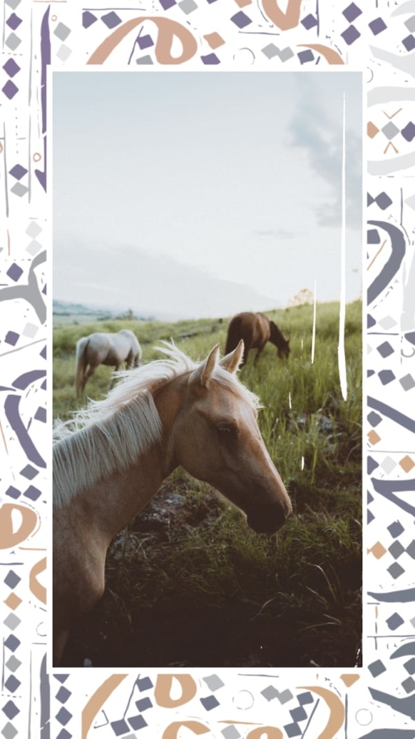Design Photography of a Horse in Nature, download and edit for free design template - Photography from the Andalusi design app