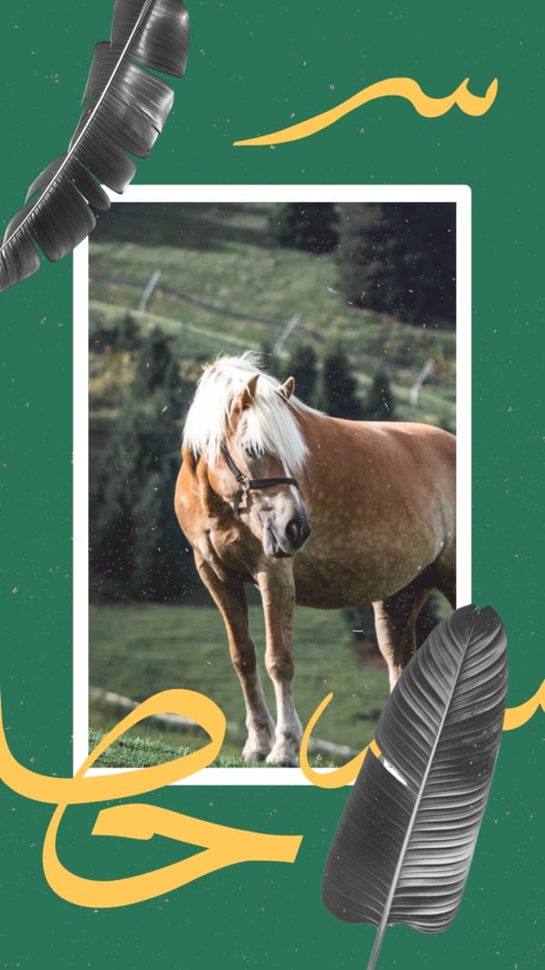 Design of a Horse Image, download and edit for free design template - Story from the Andalusi design app
