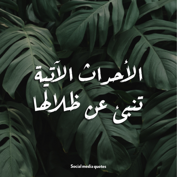 Design Quote about Life, download and edit for free design template - Quotes, Post from the Andalusi design app