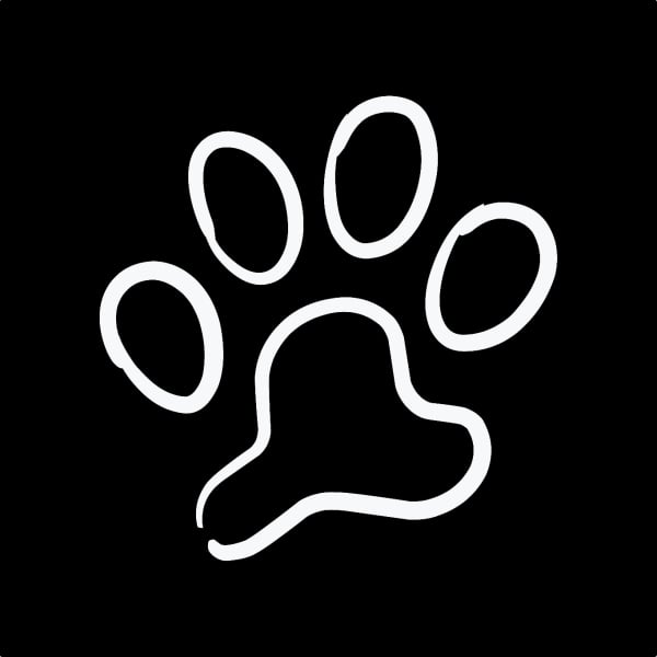 Design Lock Screen Widget with Animal Paw, download and edit for free design template - Lock Screen Widgets from the Andalusi design app